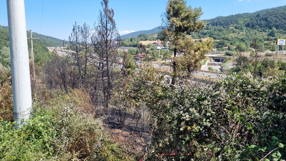 Bolu'da Çıkan Orman Yangını Büyümeden Söndürüldü