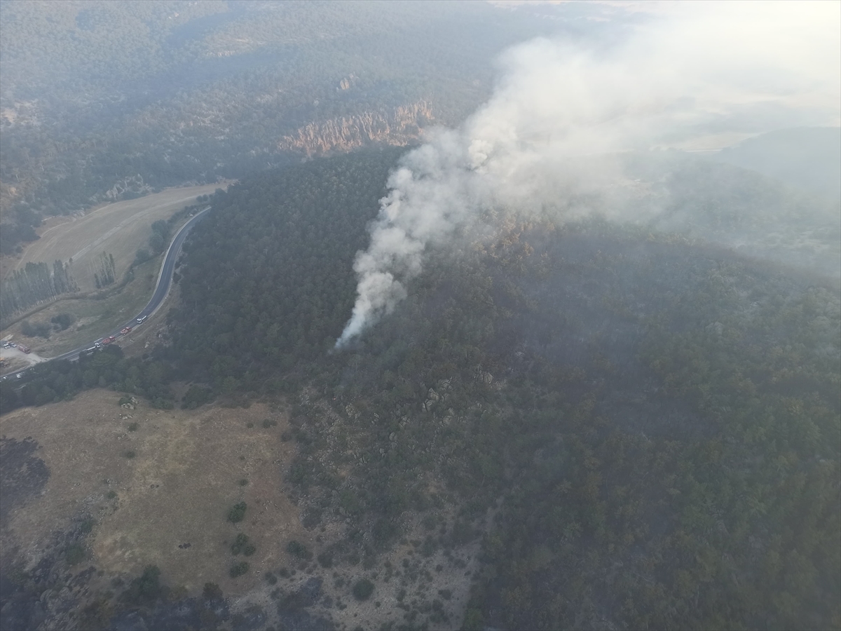 Eskişehir'deki Orman Yangınına Havadan Müdahale Yeniden Başladı